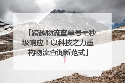 跨越物流查单号毫秒级响应！以科技之力重构物流查询新范式