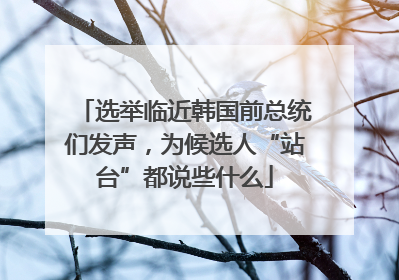 选举临近韩国前总统们发声，为候选人“站台”都说些什么