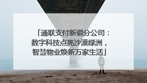 通联支付新疆分公司：数字科技点亮沙漠绿洲，智慧物业焕新万家生活