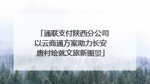 通联支付陕西分公司以云商通方案助力长安唐村绘就文旅新图景