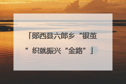 郧西县六郎乡“银茧”织就振兴“金路”