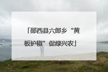 郧西县六郎乡“黄板护椒”促绿兴农