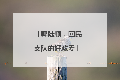 郭陆顺：回民支队的好政委