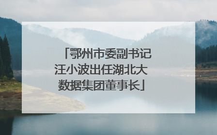 鄂州市委副书记汪小波出任湖北大数据集团董事长