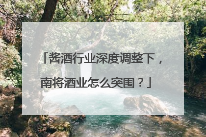 酱酒行业深度调整下，南将酒业怎么突围？