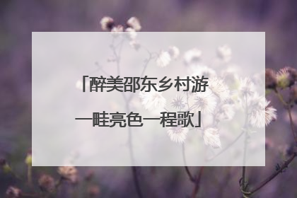 醉美邵东乡村游 一畦亮色一程歌