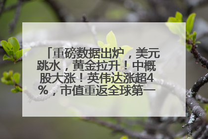 重磅数据出炉，美元跳水，黄金拉升！中概股大涨！英伟达涨超4%，市值重返全球第一！黄仁勋计划出售至多600万股股票