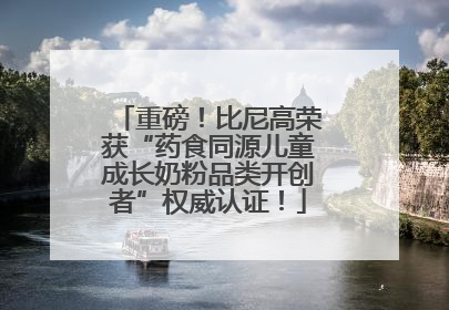 重磅！比尼高荣获“药食同源儿童成长奶粉品类开创者”权威认证！