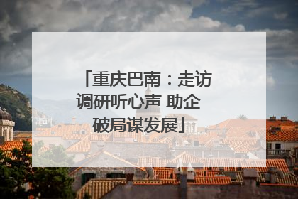 重庆巴南：走访调研听心声 助企破局谋发展