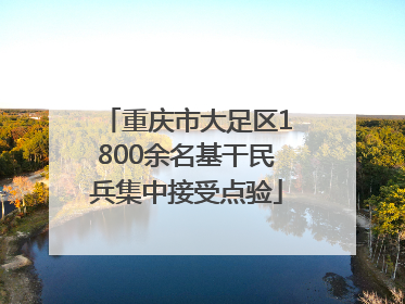 重庆市大足区1800余名基干民兵集中接受点验