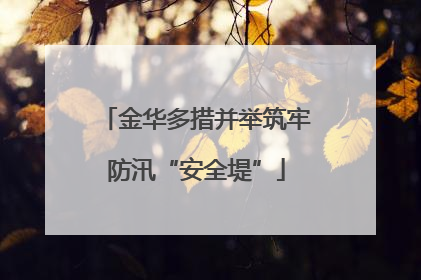 金华多措并举筑牢防汛“安全堤”