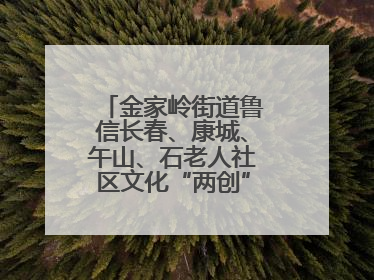 金家岭街道鲁信长春、康城、午山、石老人社区文化“两创”社区书院结业