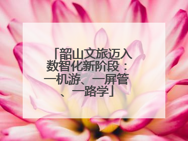 韶山文旅迈入数智化新阶段：一机游、一屏管、一路学