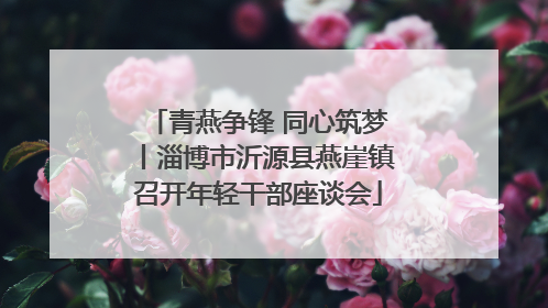 青燕争锋 同心筑梦丨淄博市沂源县燕崖镇召开年轻干部座谈会