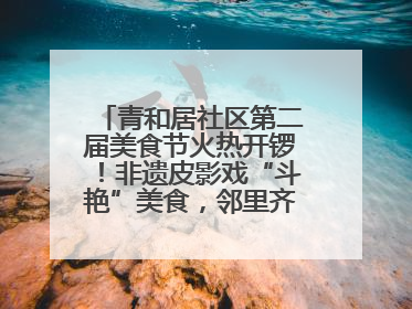 青和居社区第二届美食节火热开锣！非遗皮影戏“斗艳”美食，邻里齐聚“粽”享温情