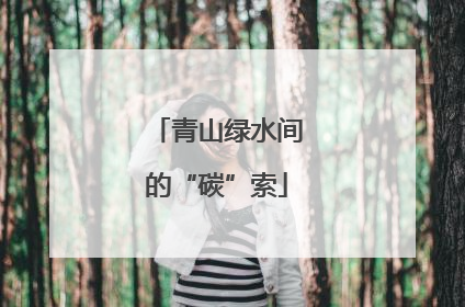 青山绿水间的“碳”索