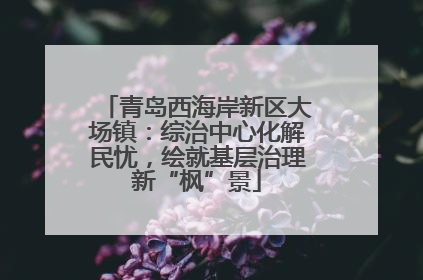 青岛西海岸新区大场镇：综治中心化解民忧，绘就基层治理新“枫”景
