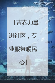 青春力量进社区，专业服务暖民心