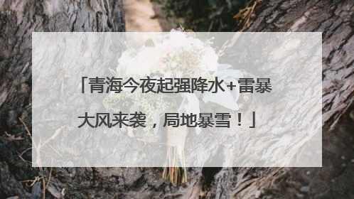 青海今夜起强降水+雷暴大风来袭，局地暴雪！