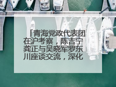 青海党政代表团在沪考察，陈吉宁龚正与吴晓军罗东川座谈交流，深化合作对接