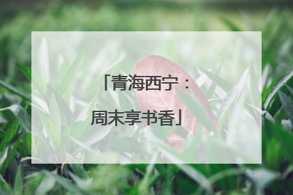 青海西宁：周末享书香