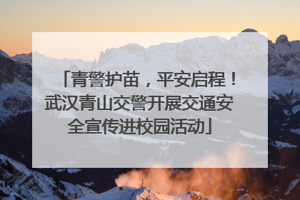青警护苗，平安启程！武汉青山交警开展交通安全宣传进校园活动