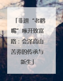 非遗“老鹳嘴”啄开致富路：会泽高山苦荞的传承与新生
