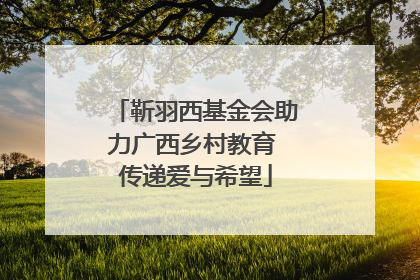 靳羽西基金会助力广西乡村教育 传递爱与希望