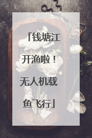 钱塘江开渔啦！无人机载鱼飞行
