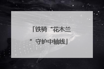 铁骑“花木兰”守护中轴线