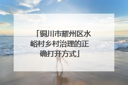 铜川市耀州区水峪村乡村治理的正确打开方式