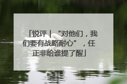 锐评｜“对他们，我们要有战略耐心”，任正非给谁提了醒