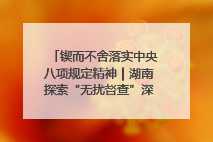 锲而不舍落实中央八项规定精神｜湖南探索“无扰督查”深化基层减负