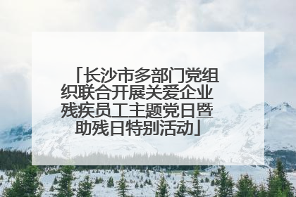 长沙市多部门党组织联合开展关爱企业残疾员工主题党日暨助残日特别活动