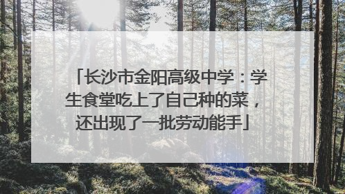 长沙市金阳高级中学：学生食堂吃上了自己种的菜，还出现了一批劳动能手