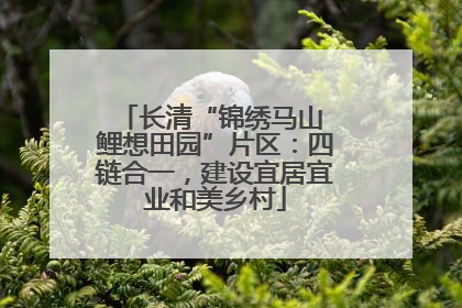 长清“锦绣马山 鲤想田园”片区：四链合一，建设宜居宜业和美乡村