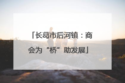 长葛市后河镇：商会为“桥”助发展