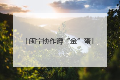 闽宁协作孵“金”蛋