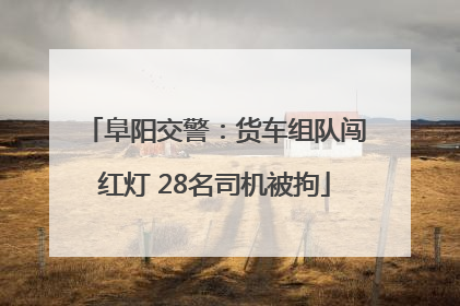 阜阳交警：货车组队闯红灯 28名司机被拘