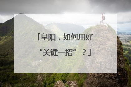 阜阳，如何用好“关键一招”？