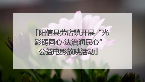 阳信县劳店镇开展“光影铸同心·法治润民心”公益电影放映活动