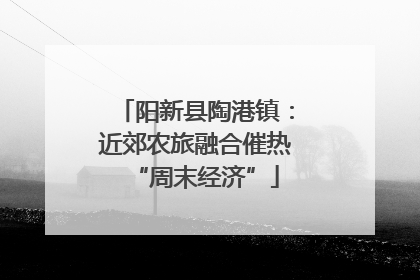 阳新县陶港镇：近郊农旅融合催热“周末经济”