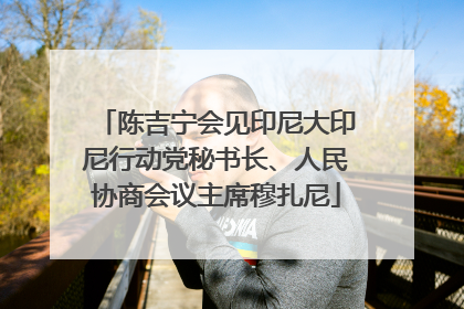 陈吉宁会见印尼大印尼行动党秘书长、人民协商会议主席穆扎尼
