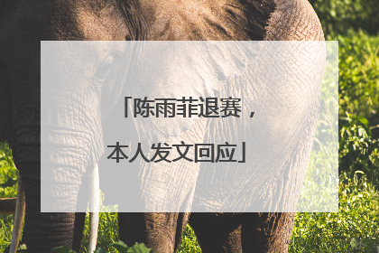 陈雨菲退赛，本人发文回应