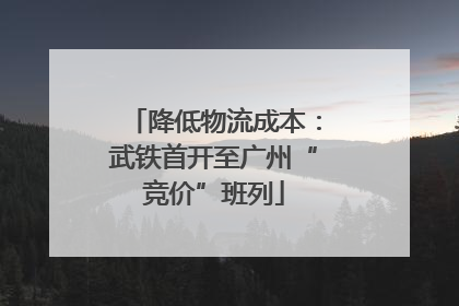 降低物流成本：武铁首开至广州“竞价”班列