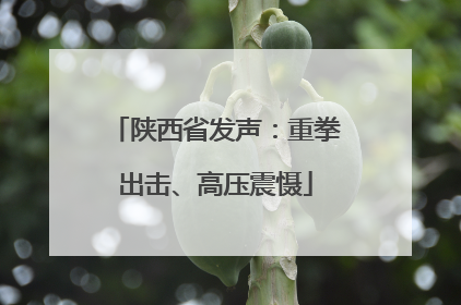 陕西省发声：重拳出击、高压震慑