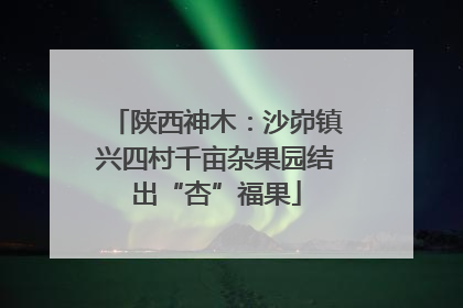 陕西神木：沙峁镇兴四村千亩杂果园结出“杏”福果