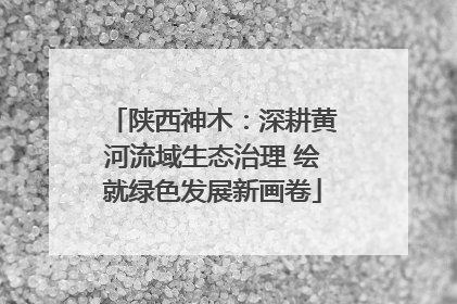 陕西神木：深耕黄河流域生态治理 绘就绿色发展新画卷