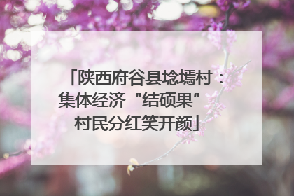 陕西府谷县埝墕村：集体经济“结硕果” 村民分红笑开颜