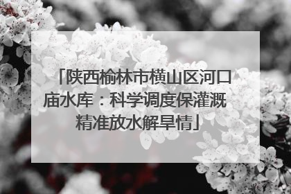 陕西榆林市横山区河口庙水库：科学调度保灌溉 精准放水解旱情